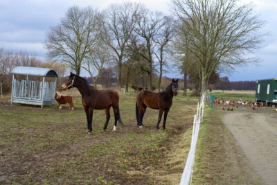 Au&szlig;enbereich Zum Bullenstall  (Bild vergr&ouml;&szlig;ern)