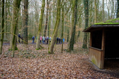 Mitten im Wald  (Bild vergr&ouml;&szlig;ern)