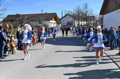 Foto des Albums: Faschingszug Rosenmontag am 3. März 2025
