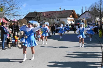 Foto des Albums: Faschingszug Rosenmontag am 3. März 2025