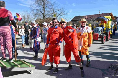 Foto des Albums: Faschingszug Rosenmontag am 3. März 2025