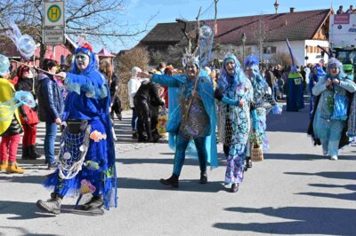 Foto des Albums: Faschingszug Rosenmontag am 3. März 2025