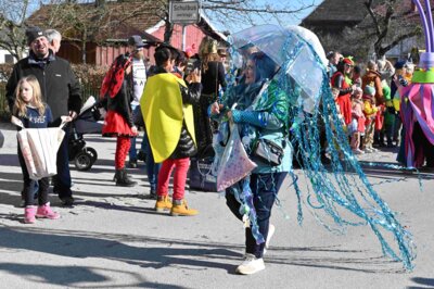 Foto des Albums: Faschingszug Rosenmontag am 3. März 2025