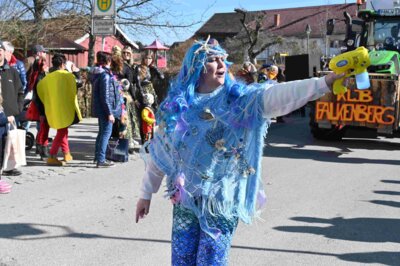 Foto des Albums: Faschingszug Rosenmontag am 3. März 2025