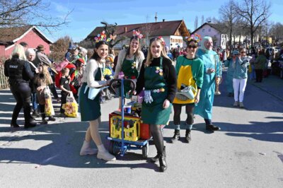 Foto des Albums: Faschingszug Rosenmontag am 3. März 2025