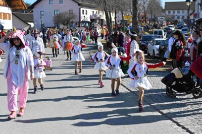 Foto des Albums: Faschingszug Rosenmontag am 3. März 2025