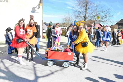 Foto des Albums: Faschingszug Rosenmontag am 3. März 2025