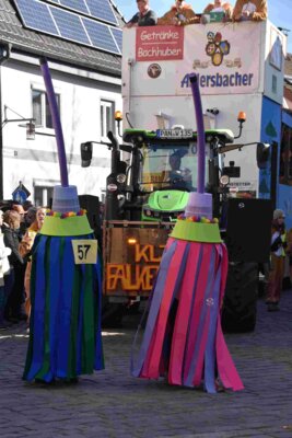 Foto des Albums: Faschingszug Rosenmontag am 3. März 2025