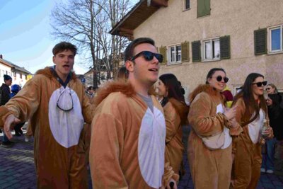 Foto des Albums: Faschingszug Rosenmontag am 3. März 2025
