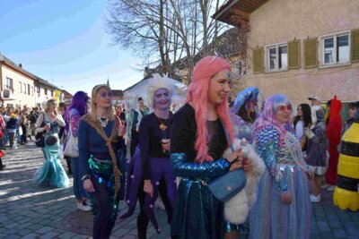 Foto des Albums: Faschingszug Rosenmontag am 3. März 2025