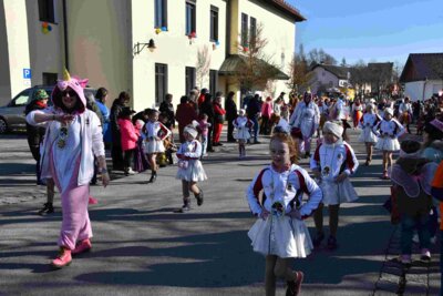 Foto des Albums: Faschingszug Rosenmontag am 3. März 2025