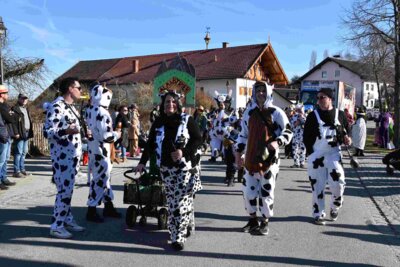 Foto des Albums: Faschingszug Rosenmontag am 3. März 2025
