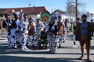 Foto des Albums: Faschingszug Rosenmontag am 3. März 2025
