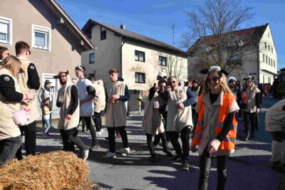 Foto des Albums: Faschingszug Rosenmontag am 3. März 2025