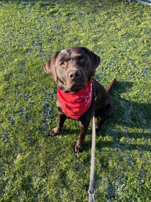 Foto des Albums: Eddie