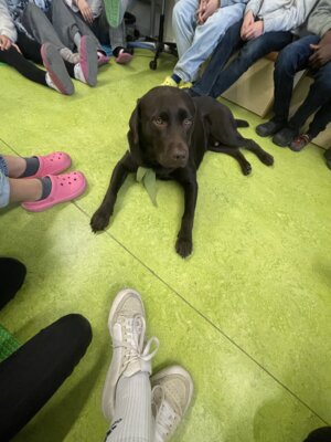 Foto des Albums: Eddie