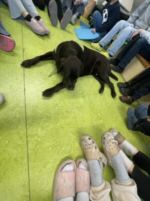 Foto des Albums: Eddie