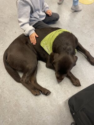 Foto des Albums: Eddie