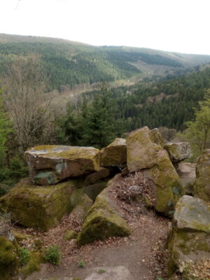 S&auml;cherstein  (Bild vergr&ouml;&szlig;ern)