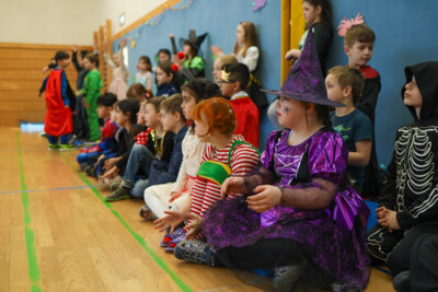 Fasching (14) 