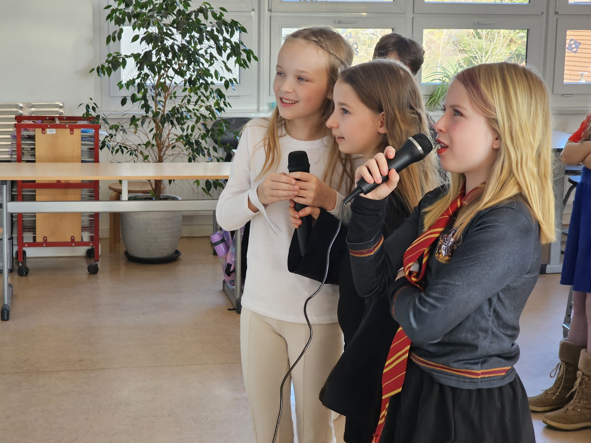 Bild der Galerie