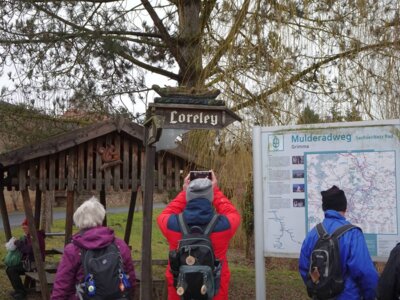 Foto des Albums: Grimma nördlicher Rundweg