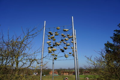 Eisw&uuml;rfel  (Bild vergr&ouml;&szlig;ern)