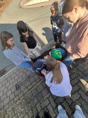 Vorschaubild der Galerie