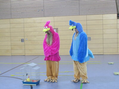 Foto des Albums: 2025_Hühner