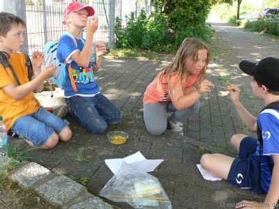 Bild der Galerie