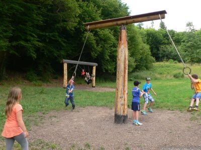 Bild der Galerie