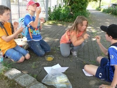 Foto des Albums: Jugendtag