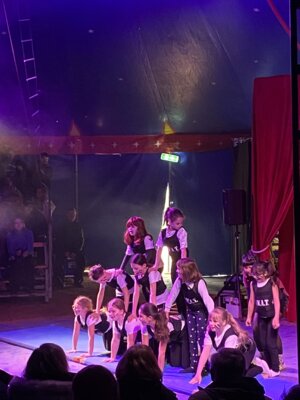 Foto des Albums: Zirkusprojekt