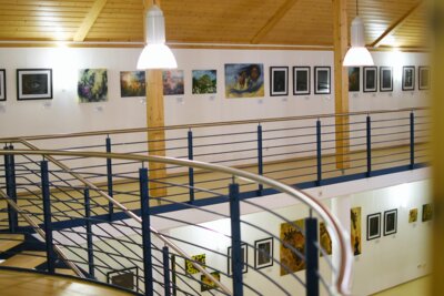Fotoalbum Vernissage 01.03.2025