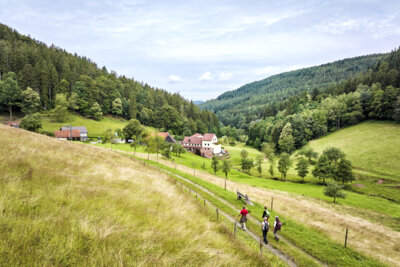Katzensteig bei Waldbrunn  (Bild vergr&ouml;&szlig;ern)