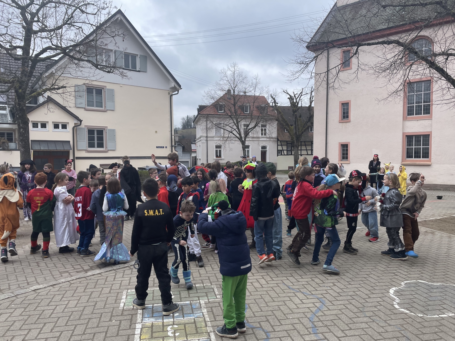 Bild  der Galerie