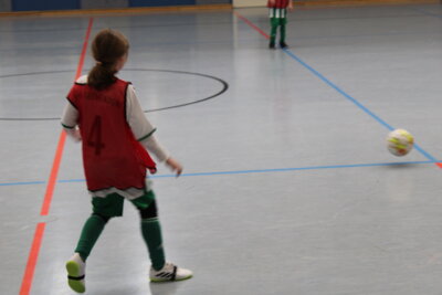 Foto des Albums: 1. Autohaus Zilm Cup E2-Junioren