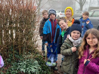 Foto des Albums: Frühblüher Klasse 1