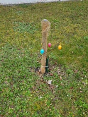 Fotoalbum Schmücken zum Osterfest