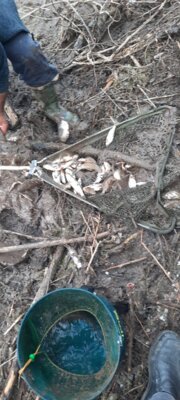 Foto des Albums: Notabfischung Bohrschacht