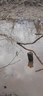 Foto des Albums: Notabfischung Bohrschacht