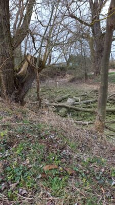 Foto des Albums: Notabfischung Bohrschacht