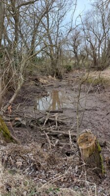 Foto des Albums: Notabfischung Bohrschacht