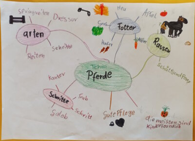Foto des Albums: 2025_Mindmaps der 3a