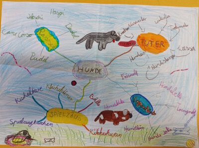 Foto des Albums: 2025_Mindmaps der 3a