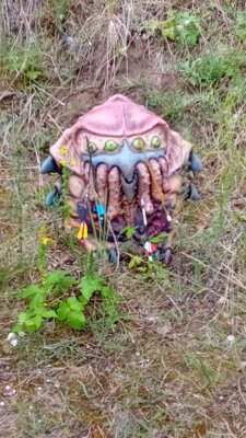 Foto des Albums: Templiner Schützenverein