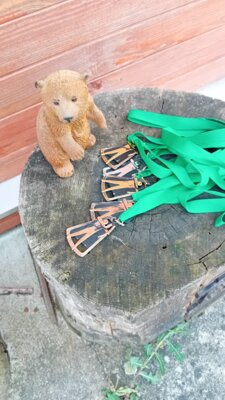 Foto des Albums: Templiner Schützenverein
