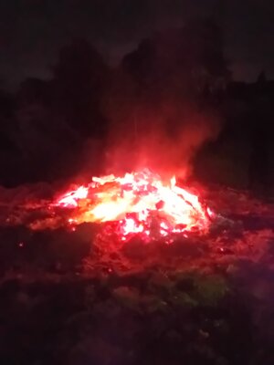 Foto des Albums: Nacht der Kürbisse 2023