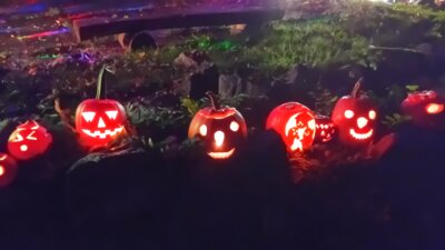 Foto des Albums: Nacht der Kürbisse 2024