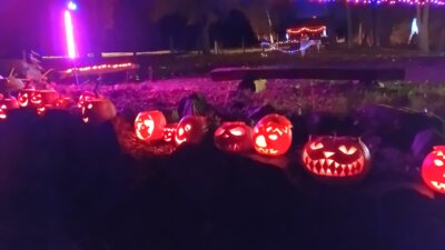 Foto des Albums: Nacht der Kürbisse 2024